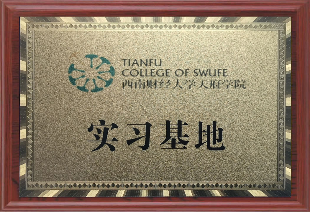 西南财经大学天府学院实习基地